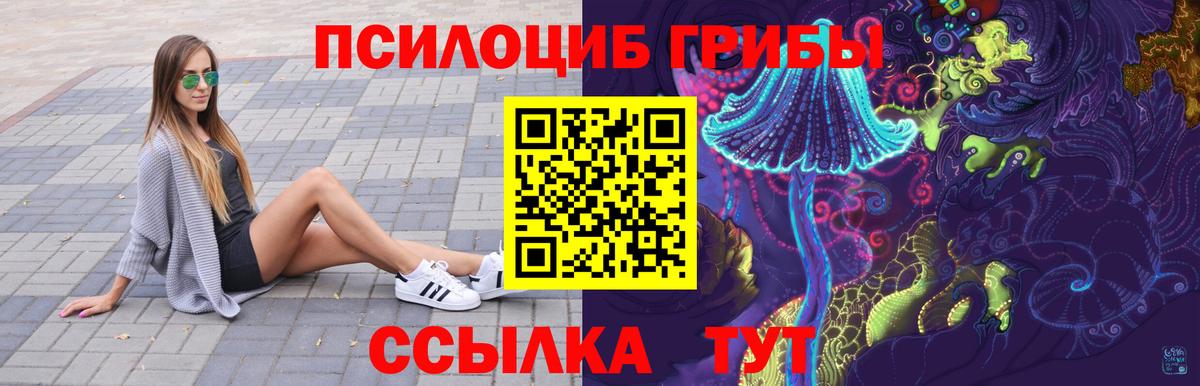 Галлюциногенные грибы Psilocybe  Галлюциногенные грибы мухоморы  Кировск 