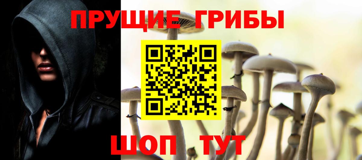 Псилоцибиновые грибы ЛСД  Псилоцибиновые грибы Magic Shrooms  Вход с VPN  Кировск 
